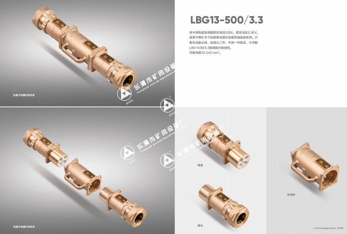 LBG13-500.jpg
